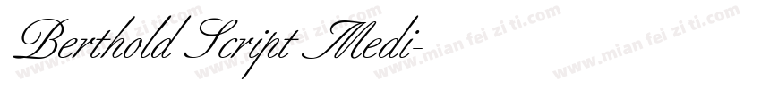 Berthold Script Medi字体转换